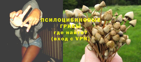 ALPHA-PVP Нея